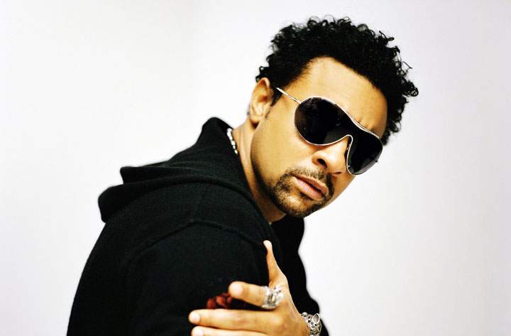 Shaggy
